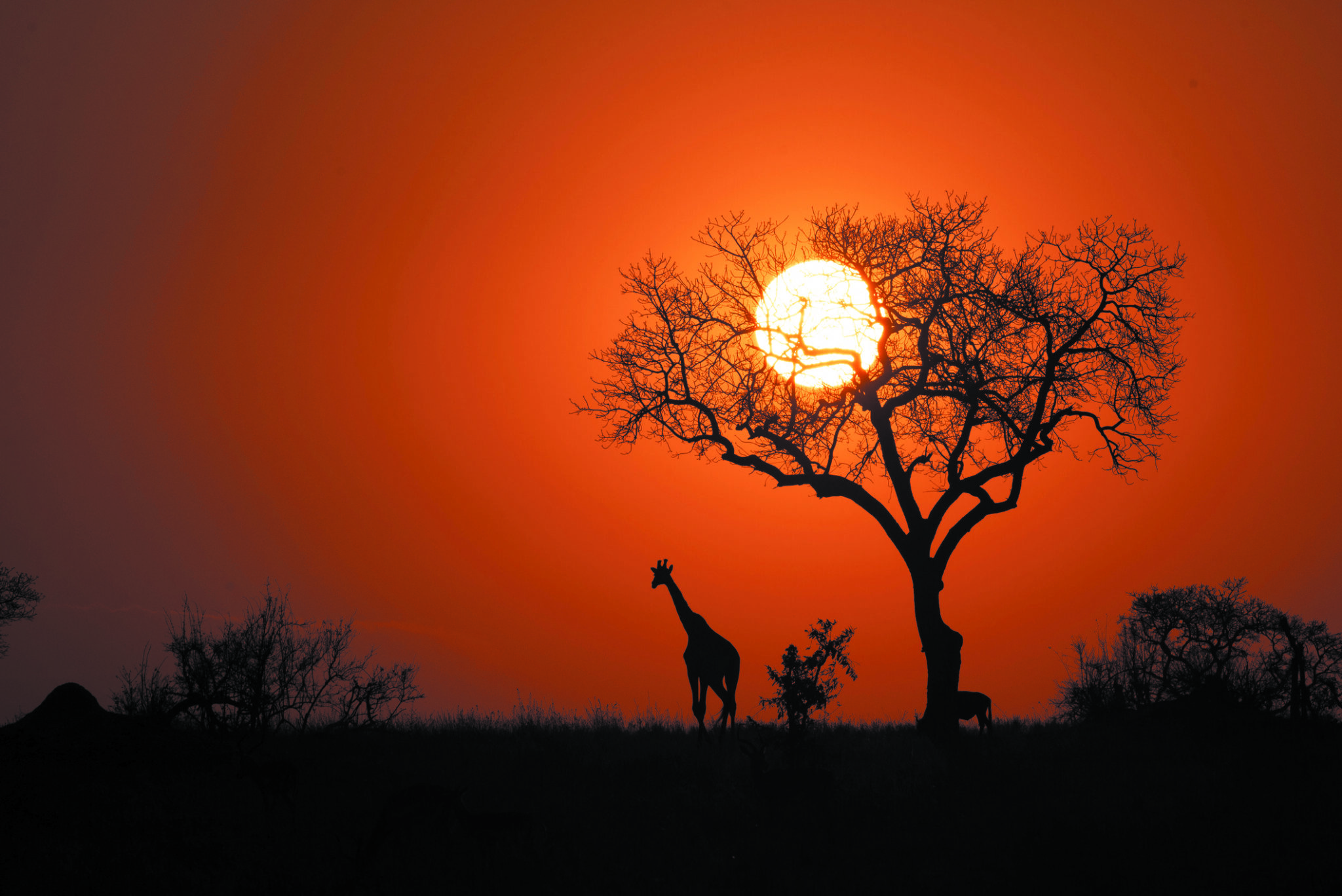 6 Surprisingly Cheap BucketList Destinations Bottom Line Inc